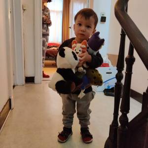 IMG_20231105_080741_original_copy_1