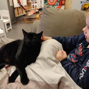 IMG_20231128_175211_original_copy_1